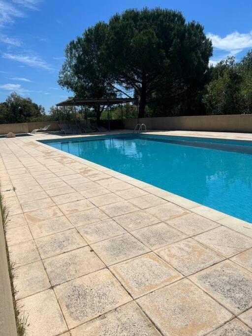 Beau P2, Avec Piscine Appartement Aigues-Mortes